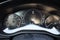 2025 Mazda Mazda3 Sedan 2.5 S Select Sport